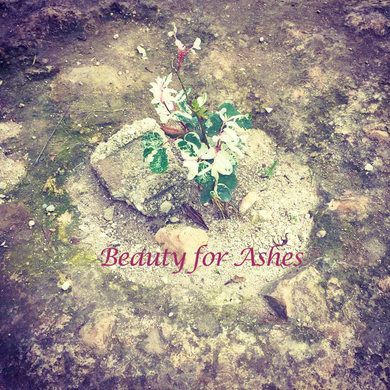 beauty-for-ashes